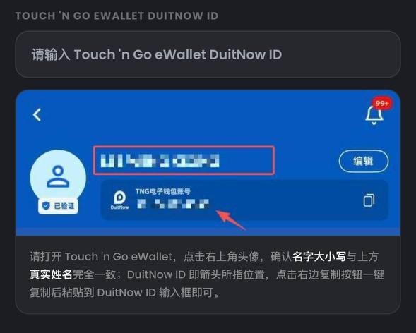 示意图：输入 TNG eWallet DuitNow ID